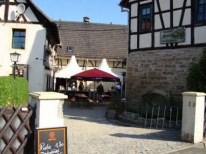 照片: Zum Frosch